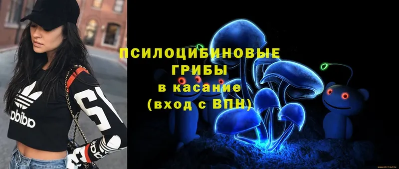 Псилоцибиновые грибы Psilocybe  купить  цена  Дно 